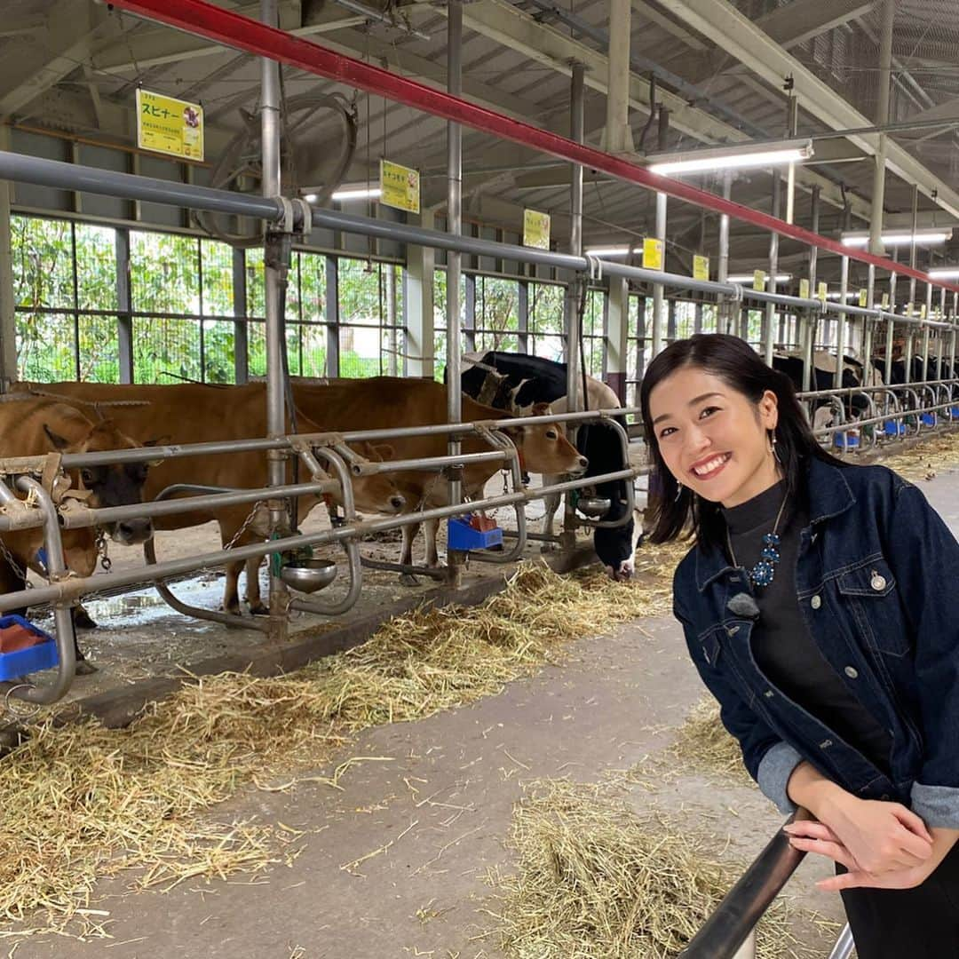 佐藤美樹さんのインスタグラム写真 - (佐藤美樹Instagram)「羊🐏、牛🐂、ミルク🥛etc.こどもの国牧場を満喫したハマナビは明日放送です☺️ ･*:.｡ ｡.:*･ﾟ✽.｡.:*・ﾟ ✽.｡.:*・ﾟ ✽.｡.:*・ﾟ #雪印こどもの国牧場  #牧場が似合うアナウンサー自称 #動物好き  #自然好き  #牧場のソフトクリーム最強  #私の癒し  #お婆ちゃん  #会いたい人  #帰省したい  #顔はめパネル  #ロケ  #フリーアナウンサー  #女子アナ  #佐藤美樹」10月18日 21時31分 - satomiki0224