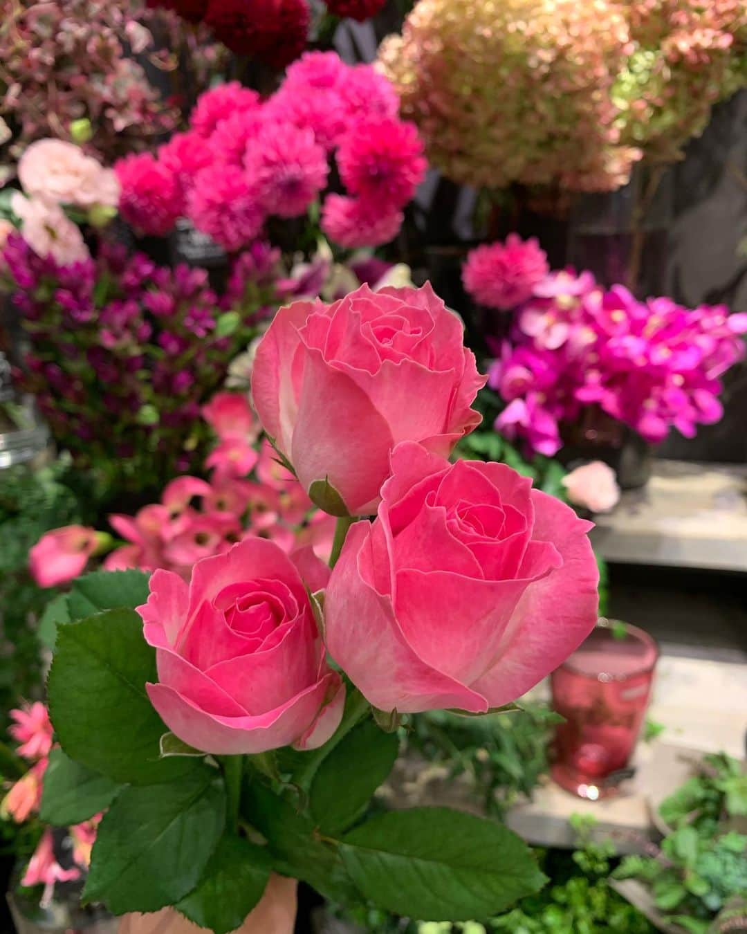 のインスタグラム：「お花を買いました❤️#💐」