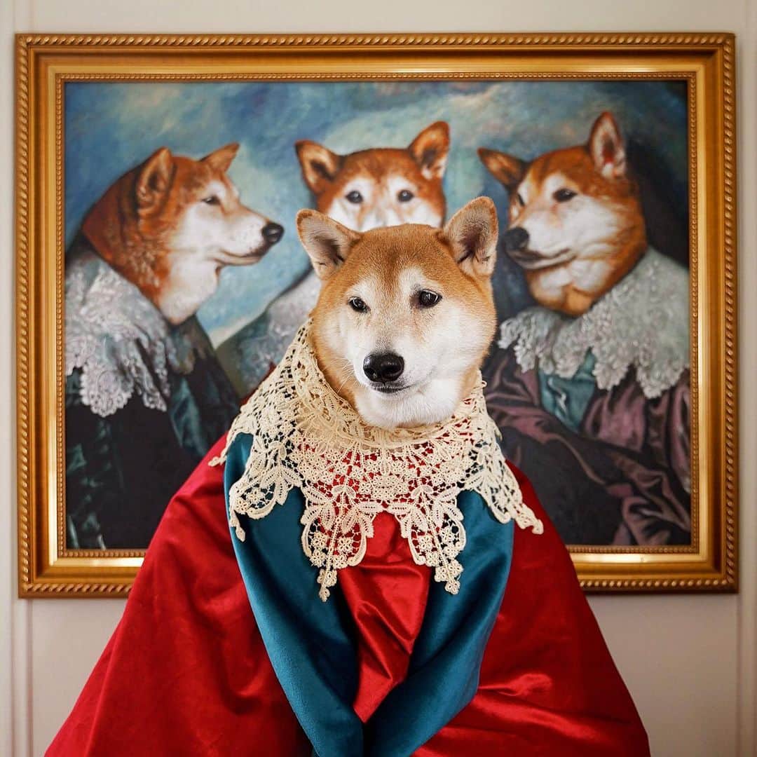 Menswear Dogさんのインスタグラム写真 - (Menswear DogInstagram)「👑 Sir Doglord lV, King of Woofs 👑 🎨: @depicteur #Royals」10月19日 1時06分 - mensweardog