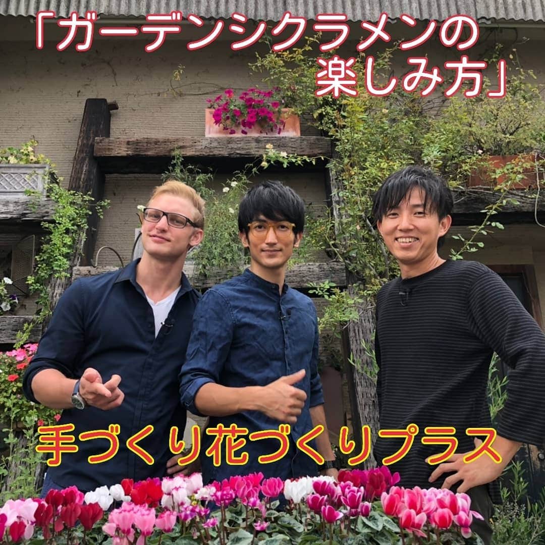 ロベリア堺のinstagram ロベリア堺インスタグラム ハッシュタグ