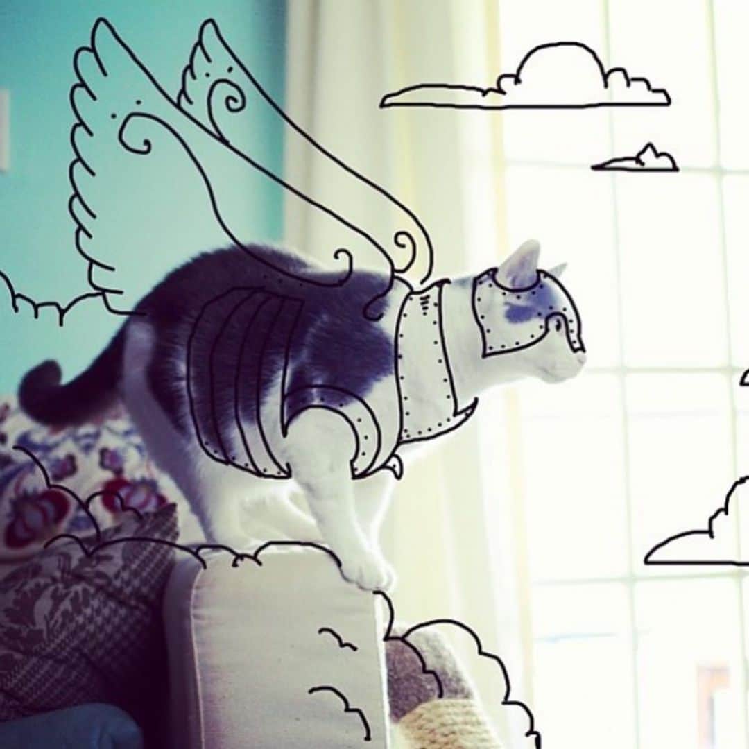 Bob And His Humanさんのインスタグラム写真 - (Bob And His HumanInstagram)「#flashbackfriday to Bob soaring high above the world as a valiant sky knight. #useyourimagination」10月19日 3時44分 - idraw_on_cats