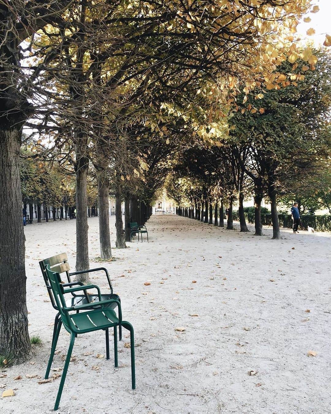 Anthropologieさんのインスタグラム写真 - (AnthropologieInstagram)「Take a walk on the quiet side 🌳 Photo via @passport by @alexandrine_ar」10月19日 4時00分 - anthropologie