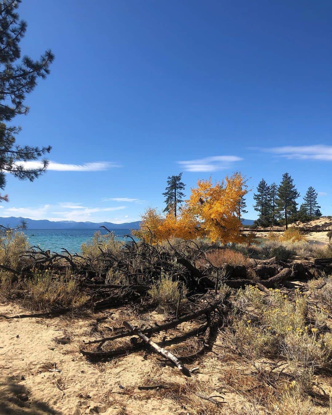 トーランス・クームスのインスタグラム：「Shooting on location at Lake Tahoe. Doesn’t get much more beautiful than this.」