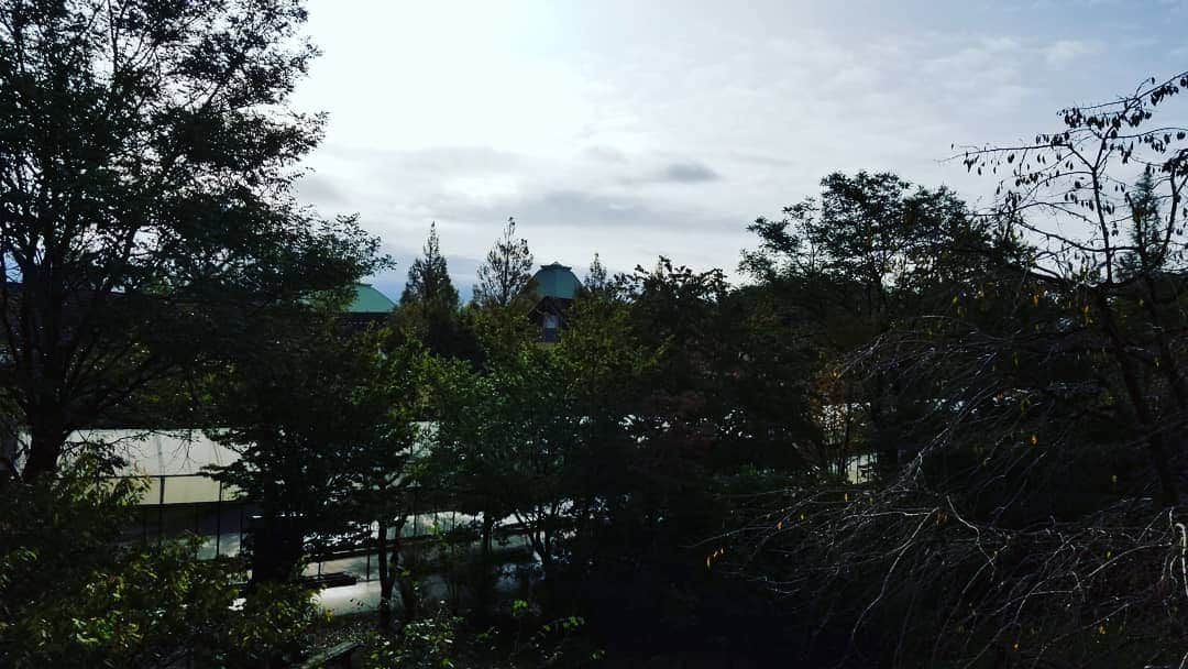 慶元まさ美のグルメインスタ