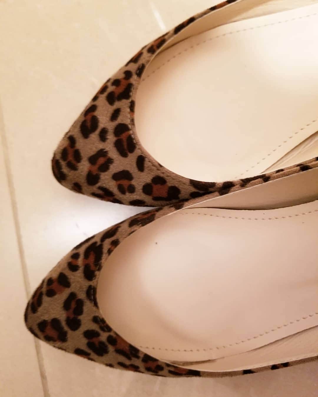 のインスタグラム：「今日のキヨコ‼️足元もヒョウ柄😊」