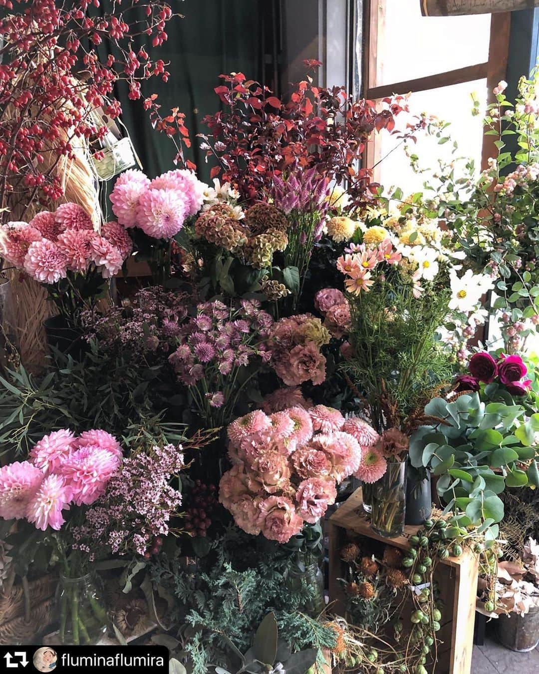のインスタグラム：「やさしいピンク色たち﻿ 今日も素敵なショコタンのアトリエ🌸　﻿ ﻿ もうすぐここにみんなで集まれるのがうれしいのです。1109、長野で待ってます🌸 ﻿ 上田や小布施など慣れ親しんでいる場所が被害に合い心を痛めております。﻿ ﻿ 一日も早い復興を祈ります。﻿ ﻿ #latelier2201 ﻿ ﻿ #repost @fluminaflumira﻿ ・・・﻿ やさしいピンク色たち﻿ ﻿ #一日も早い復興を願っています﻿ #今週のお花 ﻿ #pink﻿ #fluminaflumira﻿ #wanderluststoriesandimages ﻿ #長野市花屋﻿ #長野市」