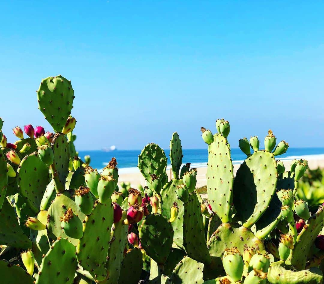 内山理名さんのインスタグラム写真 - (内山理名Instagram)「🌵🌎🐫🍹🌈 ・ Have a beautiful day..」10月19日 10時25分 - rinauchiyama_official