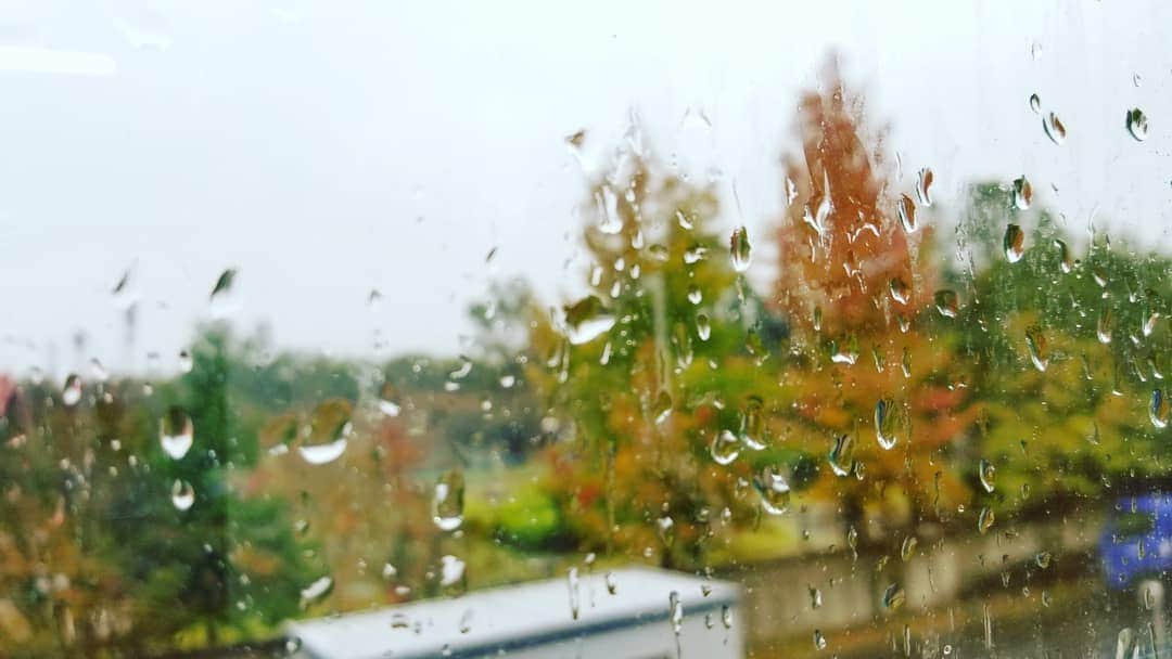 慶元まさ美さんのインスタグラム写真 - (慶元まさ美Instagram)「あがったと思ったのに… オープニングで いきなりの豪雨☔  様子をみつつで お仕事進行中です。  雨で二次被害が 起きないといいなぁ～と 祈りつつ✨  皆さんの所は大丈夫ですか？」10月19日 10時30分 - preciousmomentk