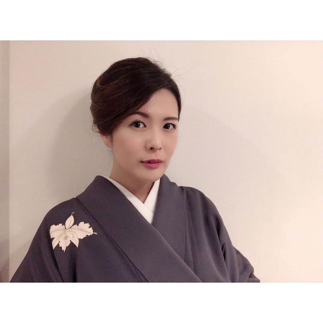 福咲れんのインスタグラム：「お着物久しぶり。 . . #隠しきれない銀座感 #着物 #kimono #うちのしまくん #シャムトラ #シャムトラミックス #猫 #ねこすたぐらむ」