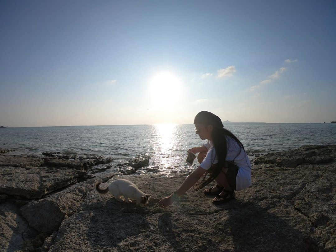 高橋和美さんのインスタグラム写真 - (高橋和美Instagram)「. 沖縄本島の旅🏝🐠 上から下まで色んな所に連れて行ってくれてありがとう😭4日間楽し過ぎました✨ #沖縄旅行#沖縄カフェ#瀬底ビーチ#うふやー#亜熱帯茶屋#備瀬崎#thejunglilacafeandrestaurant#bettergirl」10月19日 14時01分 - iam_____k_____