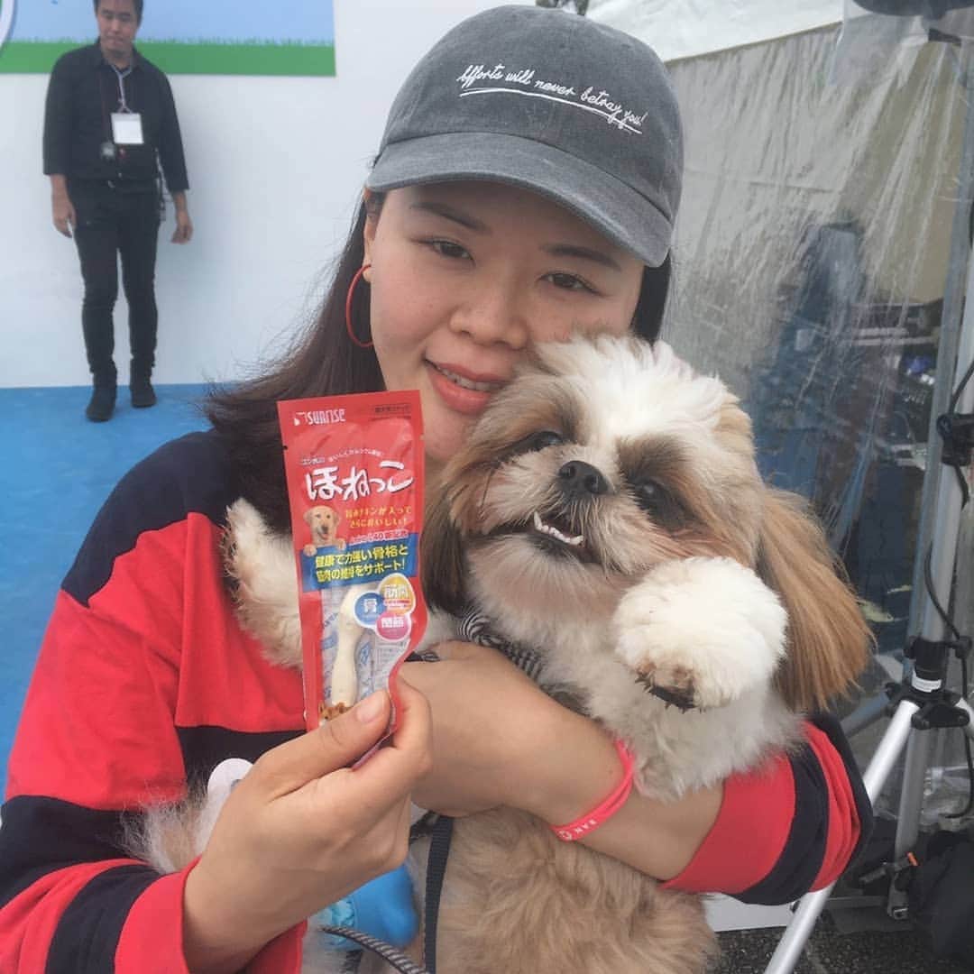 のインスタグラム：「わんこ祭りに行ってきました!! マテ選手権やら運動会やら色々あって、トッポ楽しそうだった〜 トッポは全然マテ出来ませんでした〜😂 ブラッシングや肉球エステなんかもしてもらえた!! お洋服もたくさんセールしてて買いすぎた😥  帰ったらおニューのセーター着てガン寝のトッポでしたUo･ｪ･oU❤  明日からはテアトロコントの稽古だ。。 #わんこ祭り #駐車場はどこも満車 #大盛況 #雨の土曜日なのに #わんこパワー」