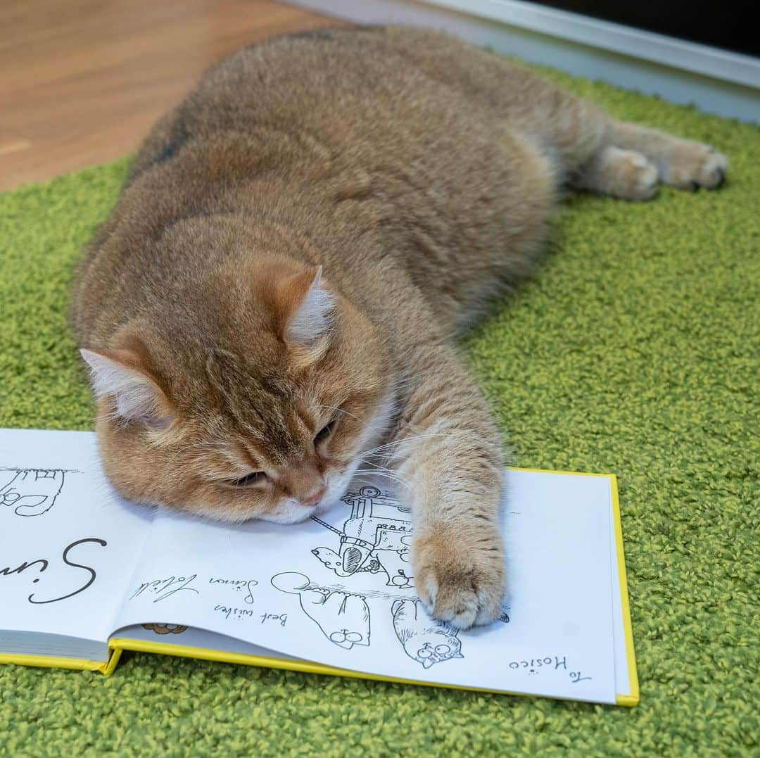 Hosicoさんのインスタグラム写真 - (HosicoInstagram)「I read Simon Tofield's new book - It's A Dog’s Life 🐶 This is a coloring book 🎨 Thanks @simonscatofficial ❤️」10月19日 16時38分 - hosico_cat