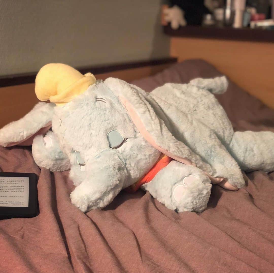 lixibei_iceのインスタグラム：「🐘过犹不及」