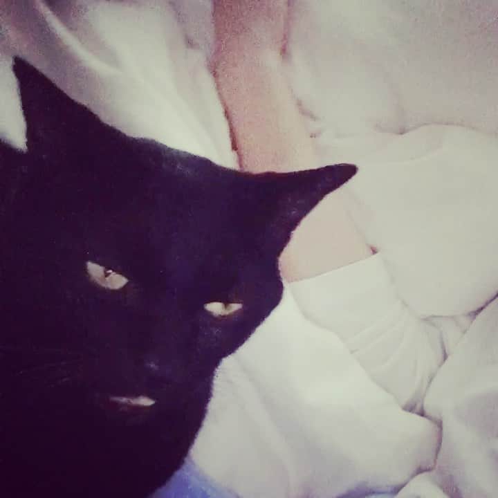 奥村佳恵のインスタグラム：「😴 #goodnight」
