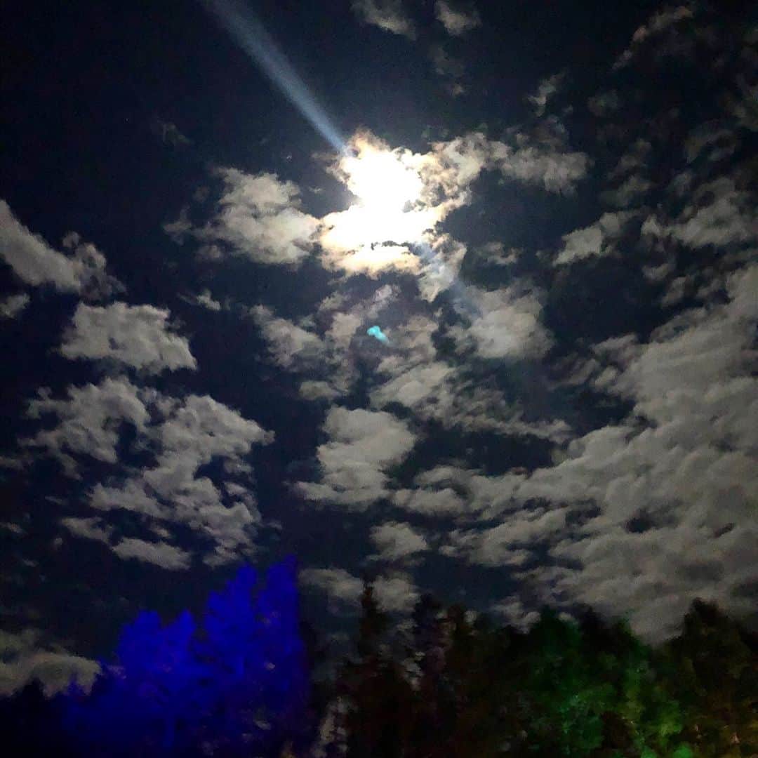 中川友里さんのインスタグラム写真 - (中川友里Instagram)「目が醒めたらそこはlabyrinthでした👨‍👦‍👦💫 とか言って弾丸6時間半運転してlabyrinth初体験してきたんだけど🌹🥺みんなで作り上げてる感も、山の奥の秘密の場所感も、自然と一体化する光と音の演出も、台風一過の澄んだ夜空の星も綺麗だった。弾丸なのに付き合ってくれた2人に感謝。オーガナイザーの　@satoshiaoyagi さんにも感謝申し上げます🥺💫ありがとうございました！来年しっかり準備してまた来たい🥺💕💫」10月19日 20時28分 - darayunya