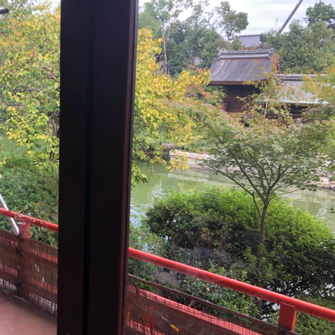 福田友理子さんのインスタグラム写真 - (福田友理子Instagram)「* * 京都市のほぼ中心、二条城からすぐの所にある 神泉苑でも司会を🎤 * 平安京造営の際に作られた京都最古の庭園で、 日本で唯一の恵方社があります✨ パワースポットとしても有名で、 異世界への入り口、 龍神の住処、 源義経と静御前が初めて出会った場所、など 様々な伝説や言い伝えがあります✨⛩🌿 * 苑内のお座敷では、日本で一番太いうどんと言われている、「うどんちり」もいただけました😊✨ * そして二条城（写真5.6枚目）はなんと今回、今年に入って4回目の訪問！笑☺️ かなり詳しくなりました✨🧐 * * #京都 #神泉苑 #平安京 #司会 #MC #二条城」10月19日 20時48分 - yuriko.fu