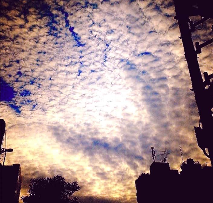 理絵さんのインスタグラム写真 - (理絵Instagram)「いつかの空  #巻積雲 #うろこ雲 #雲 #空 #sky #cielo #하늘 #☁️ #☁️🐟 #cielo_rie」10月19日 21時16分 - ____rie____