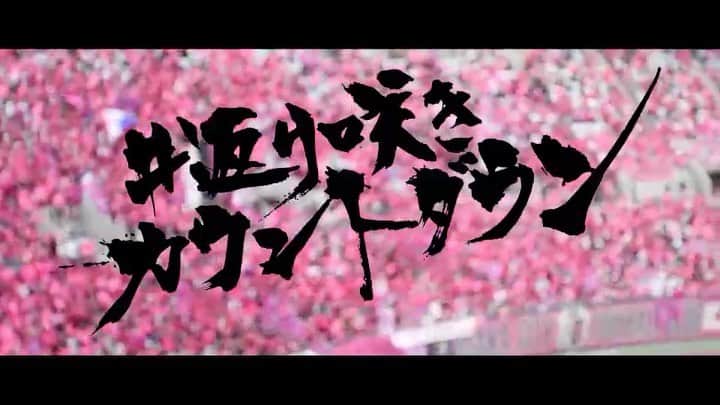 都倉賢のインスタグラム：「鹿島戦の時に行った都倉シートの様子です。 都倉シートではホーム戦の時に40人の方達を招待させてもらってます！ 怪我をしてしまったからこそ見えたこの景色。そんな景色から感じた事を形にしたいなと思い始めました。 復帰を目指す人、復帰に向けてなんらかの問題を抱えている人、応援する人、そんな人達がこの都倉シートの活動を通して繋がっていけたら嬉しいです。またSNSではハッシュタグ #返り咲きカウントダウン が皆んなのコミュニティになって欲しいと思ってます。  都倉シートでは試合後に僕への応援メッセージとして桜の形をしたカードに応援メッセージを書いてもらっているのですが、その桜メッセージも沢山集まってきていて満開になるのを楽しみにしております。 今回この活動に共感してくれて動画編集をしてくれた @kent_ozawa くん 札幌時代からの友人でcalligrapherの @kotarohatch くんに冒頭のタイトルを書いてもらいました。 こういった形で共感の輪が広がってくれて本当に嬉しく思うし感謝しております！  #返り咲きカウントダウン #都倉シート」