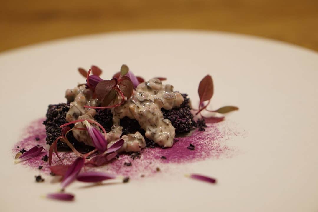 高井直子のグルメインスタ