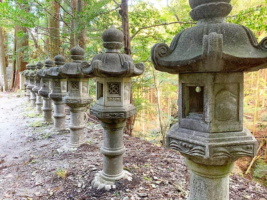 遊海 Yuumiさんのインスタグラム写真 - (遊海 YuumiInstagram)「The higest waterfall at  Oldest Wakamiya hachimangu Shrine. 　It was after the horiible typhoon. The typhoon rain go though the nature and flow into the sea.  My deepest condolences for all who lost lives, and to the friends and relatives who lost their loved one by Typhoon. wishing for speedy recovery to the injured and reunification with their families.  @inaka_tourism @misugi_resort. 日本で一番古い若宮八幡宮。最上階の滝、台風の後でしたが水は好きとおてました。ひどい台風の雨は自然に流れて海に。。台風で命を落としてしまった方、また愛する人を失ったご友人やご家族の皆様に心からの哀悼の意を表します。被害に遭われた方々が一刻も早く回復し、再び家族と共に過ごせるよう願っています。 #inakatourism #misugiresort #hinotanionsen #misugi #美杉　#若宮八幡宮　#美杉リゾート　#自然　#森林　#日本の文化　#misugiforest #prayforjapan」10月19日 22時37分 - yuumi_kato