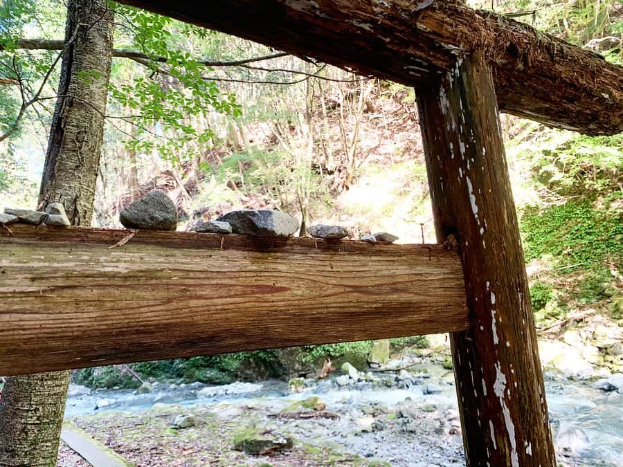 遊海 Yuumiさんのインスタグラム写真 - (遊海 YuumiInstagram)「The higest waterfall at  Oldest Wakamiya hachimangu Shrine. 　It was after the horiible typhoon. The typhoon rain go though the nature and flow into the sea.  My deepest condolences for all who lost lives, and to the friends and relatives who lost their loved one by Typhoon. wishing for speedy recovery to the injured and reunification with their families.  @inaka_tourism @misugi_resort. 日本で一番古い若宮八幡宮。最上階の滝、台風の後でしたが水は好きとおてました。ひどい台風の雨は自然に流れて海に。。台風で命を落としてしまった方、また愛する人を失ったご友人やご家族の皆様に心からの哀悼の意を表します。被害に遭われた方々が一刻も早く回復し、再び家族と共に過ごせるよう願っています。 #inakatourism #misugiresort #hinotanionsen #misugi #美杉　#若宮八幡宮　#美杉リゾート　#自然　#森林　#日本の文化　#misugiforest #prayforjapan」10月19日 22時37分 - yuumi_kato