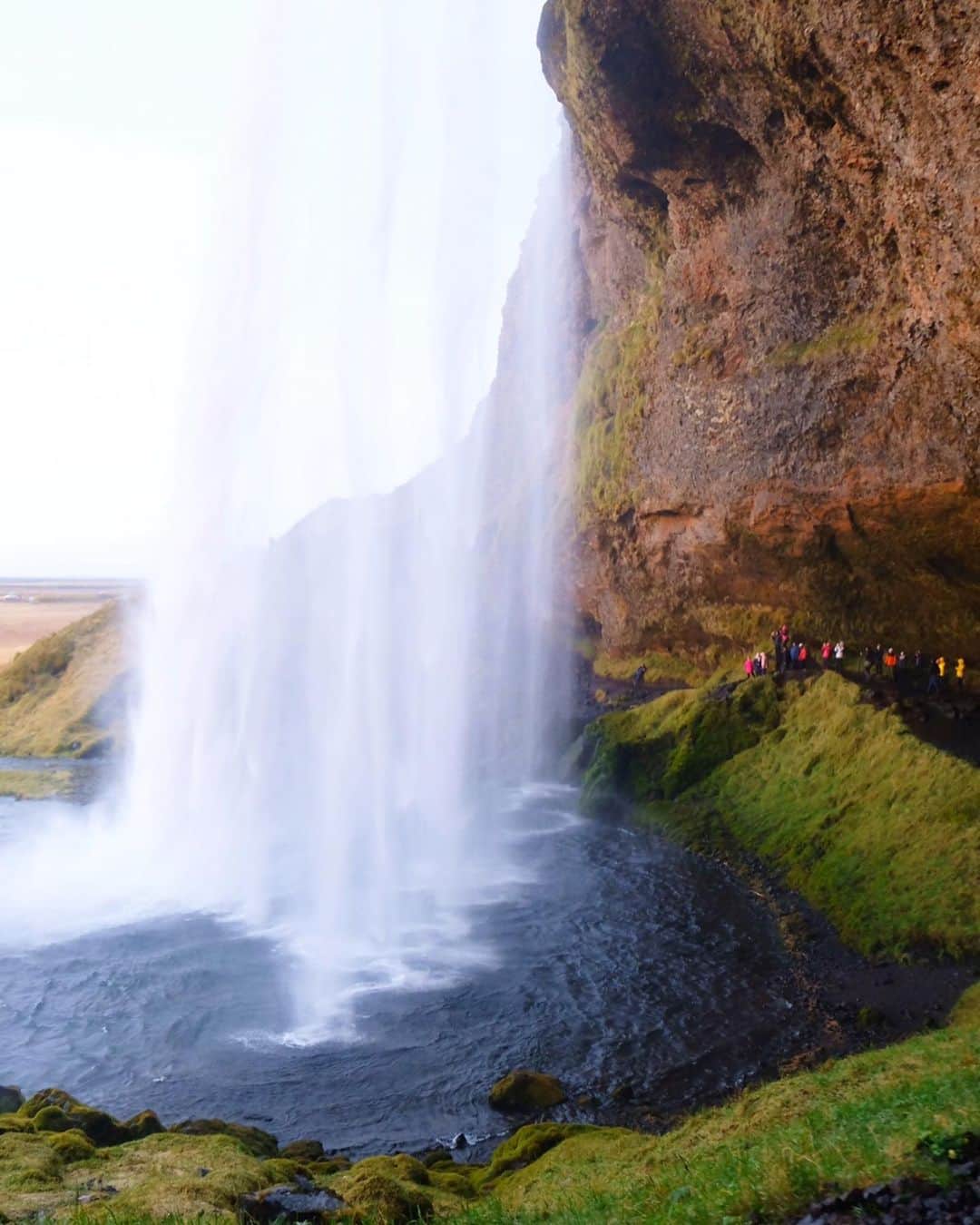 武智志穂さんのインスタグラム写真 - (武智志穂Instagram)「📍 Seljalandsfoss﻿ ﻿ 水の豊かな国、アイスランド。﻿ アイスランドには素晴らしく美しい滝がいくつもあります。﻿ 今回わたしも7ヶ所ほど回りましたが、その中でも特にお気に入りだったのが、このセリャランスフォスの滝。﻿ 滝を裏から見ることができて、夕陽の時間に行くと、言葉にできないほどの美しい景色を眺めることができます。﻿ ﻿ 直前まで雨がぱらついて厚い雲が覆っていたから諦め気味だったけど、本当に見れてよかった！﻿ たくさん深呼吸して帰ってきたよ😌✨﻿ ﻿ ﻿ #志穂sTrip #Iceland #icelandtravel #火と氷の国 #Seljalandsfoss」10月19日 23時48分 - shiho_takechi