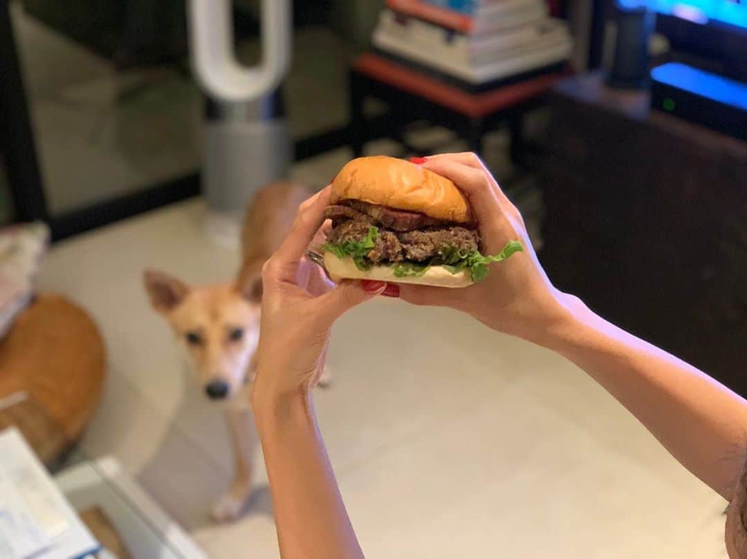 大日方久美子さんのインスタグラム写真 - (大日方久美子Instagram)「・ 自分史上最高のハンバーガー🍔 ・ スタイリングイベント後はいつも疲れて食べる力も残ってないのに丸々一つペロリと完食！ ・ 食べ終わったら、元気になってきた😂 ・ 青山一丁目 @theburn_aoyama では数量限定メニューですが、明日まで新宿小田急百貨店の催事でも買えます！ でも早く行かないと売り切れます😂 ・ ・ #theburnaoyama  #ハナちゃんが狙ってるから #ドキドキしながら急いで写真撮った」10月19日 23時55分 - kumi511976