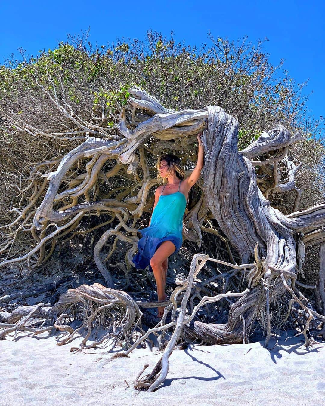 Giovanna Ewbankさんのインスタグラム写真 - (Giovanna EwbankInstagram)「Encontrei a minha árvore no mundo...adivinhem o nome!? ÁRVORE DA PREGUIÇA!!! 💙 Kkkkkk...mais eu IMPOSSÍVEL! #ceara #arvoredapreguica #jeri」10月20日 0時03分 - gioewbank