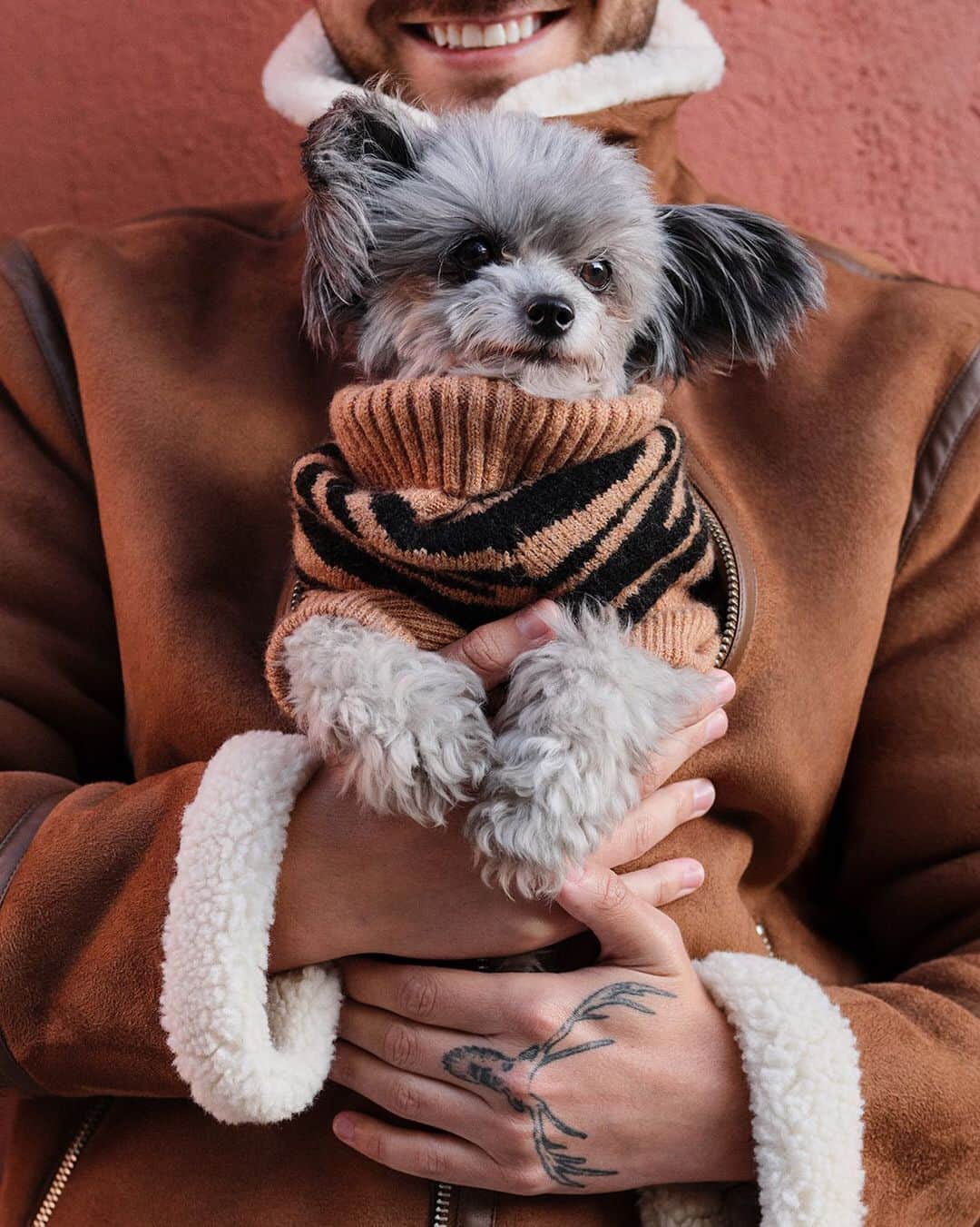 H&Mさんのインスタグラム写真 - (H&MInstagram)「Someone’s more than ready for cuddle on the couch! Update your furry friend’s wardrobe with our new dog-wear, here modelled by the chipoodle Billie. Read more about him and his human on #HMMagazine #HM  Dog sweater: 0812824001 Jacket: 0769125003」10月20日 0時03分 - hm