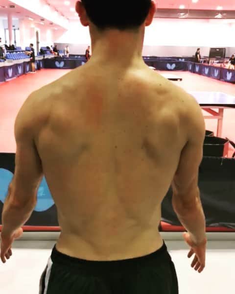 ジョアン・モンテイロのインスタグラム：「Monti's anatomy 🦁🏋️‍♂️💪🔥 #workaholic#tabletennis#fitness」