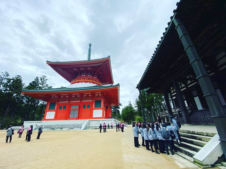 寺田有希さんのインスタグラム写真 - (寺田有希Instagram)「【高野山から平和を祈る3日間】world peace gathering in koyasan 2019 ・ ・ 世界の僧侶が一堂に会して平和を祈る 『world peace gathering』 世界各国で行われているこの催しが、初めて！高野山で開催されました✨ ・ ・ そんな記念すべき今回！ ご縁があって司会をお任せ頂きまして、高野山にやってきたのですー😂✨✨ ・ ・ #wpgkoyasan https://wpg-koyasan.com ・ ・ まずは世界から約400名もの僧侶さんが壇上伽藍に一堂に会して、大法会を ・ ・ いやー 空気感がすごかった😳✨ ・ ・ 中央部分には『東日本大震災早期復興』の文字が。最近では台風15号に、続いての台風19号…大豪雨もあったし、自然災害続きの日本 ・ ・ そんな日本で、世界の僧侶さんたちが平和を祈ってくれるのは… ・ ・ なんだか嬉しかった✨ 私も3日間、心からの平和を祈りたいと思います ・ ・ #高野山 #koyasan #壇上伽藍 #金堂 #寺田有希 #teradayuki」10月20日 0時29分 - terada_yuki