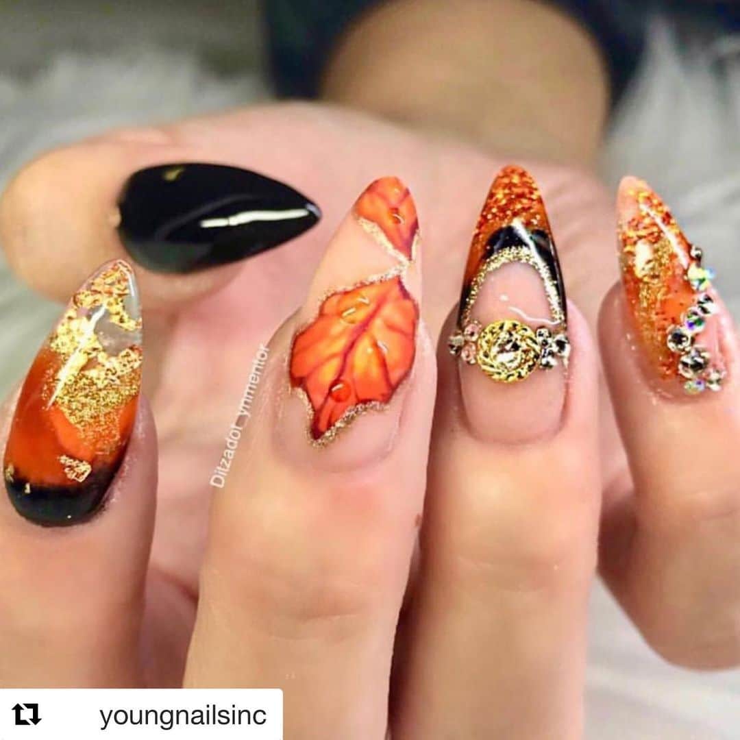 Nail Designsさんのインスタグラム写真 - (Nail DesignsInstagram)「Credit: @youngnailsinc ・・・ We might be a little obsessed with fall looks... but can you blame us with nails like these by YN Mentor @ditzadot_ynmentor  Rainbow Orange & Black acrylic  Golden Orange & Crush glitter」10月20日 0時54分 - nailartfeature