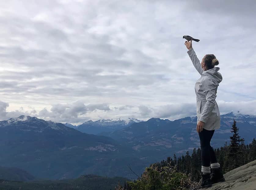 イモージェン・ケアンズのインスタグラム：「Up here with the clouds 🕊☁️ #garibaldiprovincialpark 900 metres in 9 kilometres」
