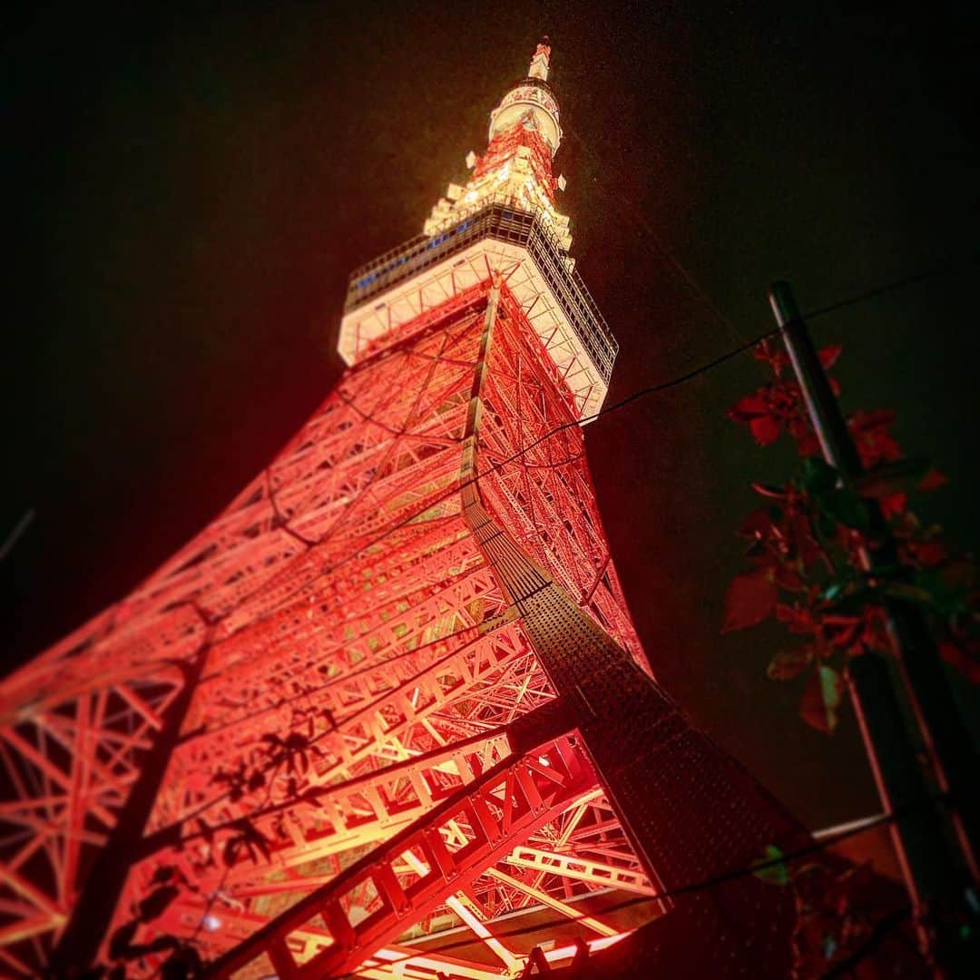 酒井健太さんのインスタグラム写真 - (酒井健太Instagram)「真下  #東京タワー」10月20日 2時24分 - kenta_sakai