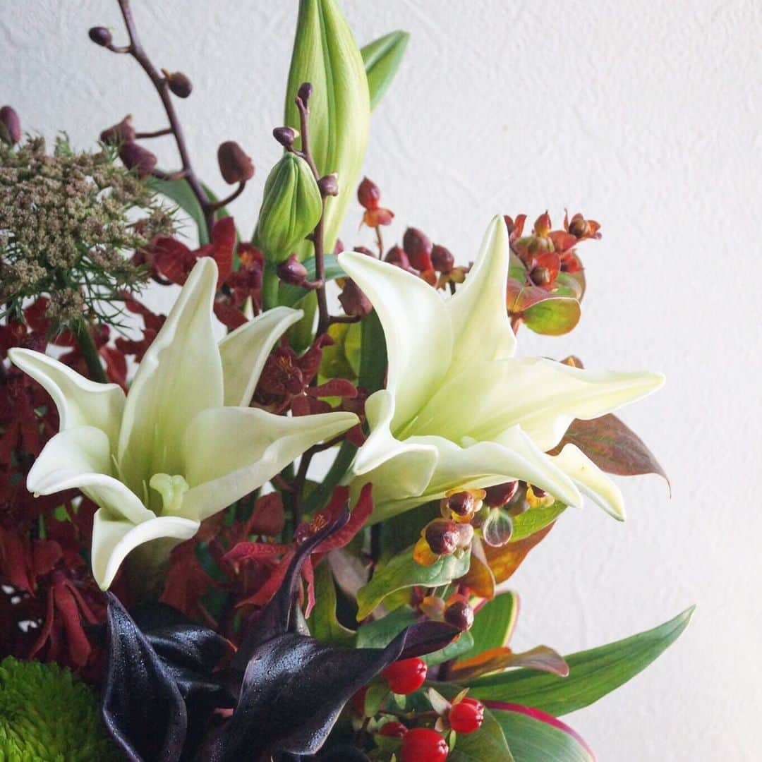 MILLE ECLAT.のグルメインスタ