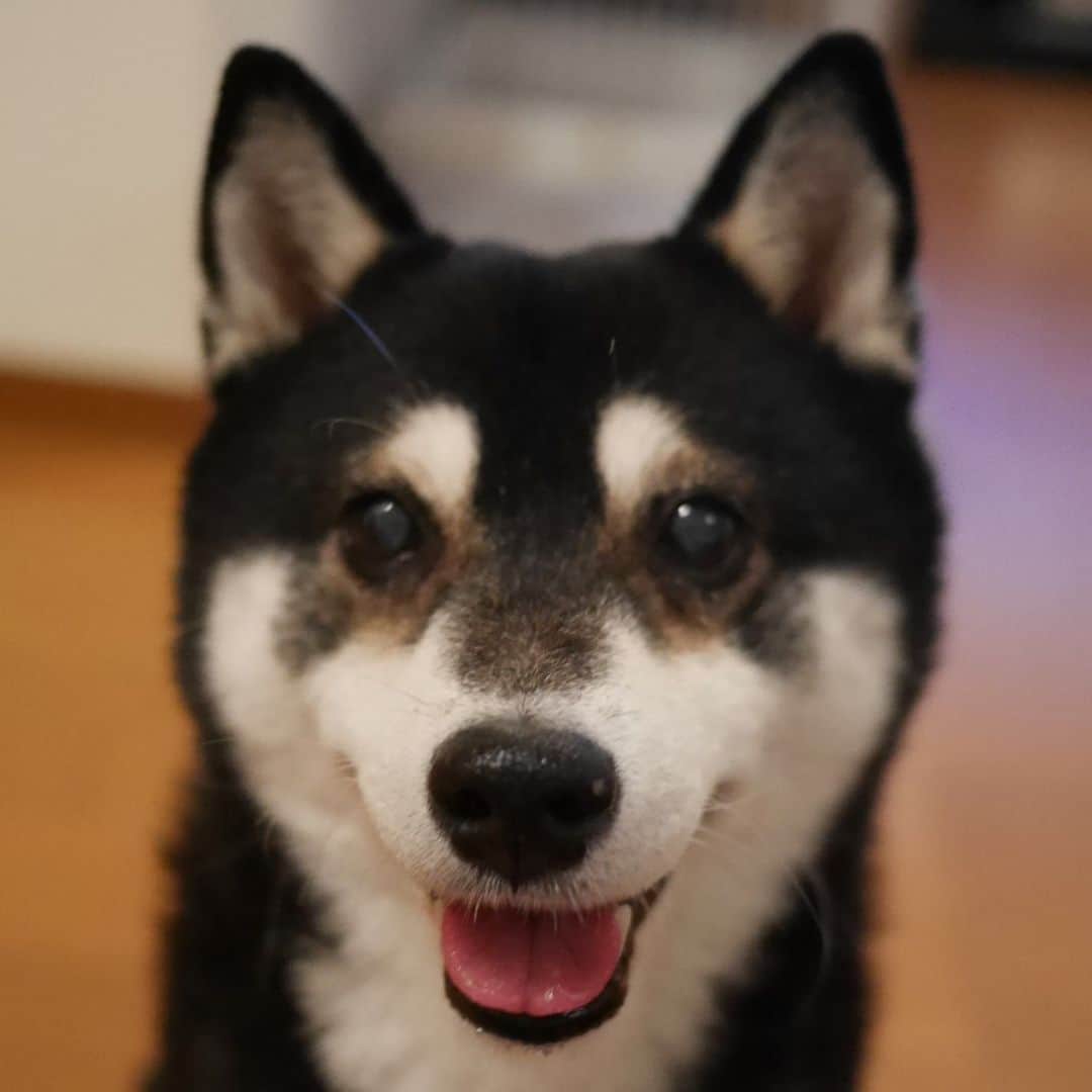 くろのインスタグラム