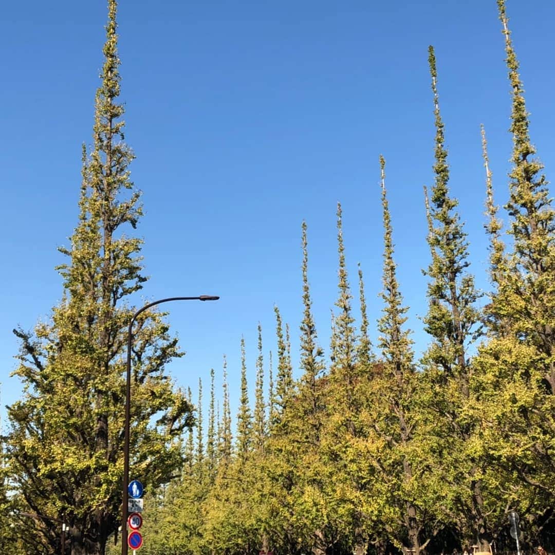 リストランテAO[公式]?イタリアン(青山店/逗子店)のグルメインスタ