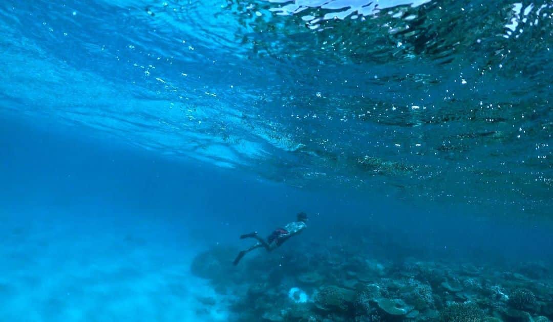 湯川正人のインスタグラム：「先の見えない道、未来像が描けないところで頑張る必要ない。」