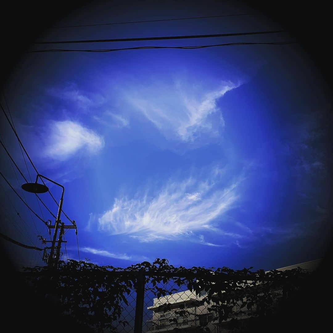 小林 ディスカスさんのインスタグラム写真 - (小林 ディスカスInstagram)「今日も気持ちの良い青空👱🏾‍♂️💙💙🙏🏾🌞 ふと見上げると、 この雲、 僕には、 鳳凰にも🐤ドラゴンにも🐲見えた系ー。 皆さまには、何に見えるでしょ？？ #tokyo #japan #sunday #雲」11月17日 22時55分 - discus_kobayashi