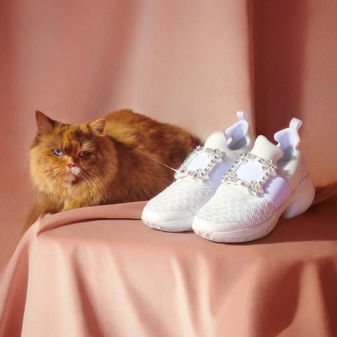 ロジェ・ヴィヴィエさんのインスタグラム写真 - (ロジェ・ヴィヴィエInstagram)「The #VivRun sneakers by @GherardoFelloni feature high-performance materials and the Maison’s crystal buckle.  #RogerVivier #FW19 #GherardoFelloni  Photography: @Lou__Escobar」11月17日 23時03分 - rogervivier