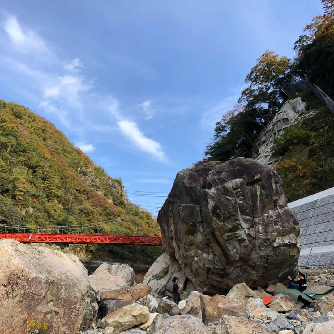 三浦絵里菜のインスタグラム：「今日は武庫川🌳 午前中はラフロイグの岩で ハワイアンチェーンの隣にある初段？と セカンドフィルの隣にある初段？ を登ったよ☺️ 気温のせいか湿度のせいか、セカンドフィルの隣の課題は体感1級くらいな気がしたけど初段なのかな🤔 とりあえず名前もグレードもよく分からないけど、楽しかった😂 午後からはトンネル通る方のエリアへ 前出来なかった 猿の神 初段 が登れたーー🐒 めっちゃ嬉しい☺️ そのあとはなんとなく冷酷をおさわりしてみたけど、意外とバラせそうで頑張れそうで可能性ありそうー。 また武庫川いっくぞー🌼 @fe0306._.e 毎度どーもありがとうー！ @taikids もまたご一緒しましょうー🙆‍♀️ #武庫川  #紅葉シーズン #楽しかったー」
