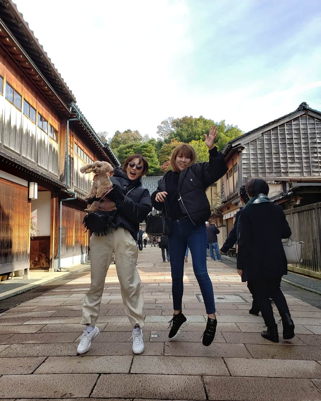 夏菜さんのインスタグラム写真 - (夏菜Instagram)「躍動感。 こむぎも一緒に金沢に。🐶🍁 #こむぎの耳がかわいすぎる #ポワーンてなってる」11月17日 23時32分 - natsuna_official