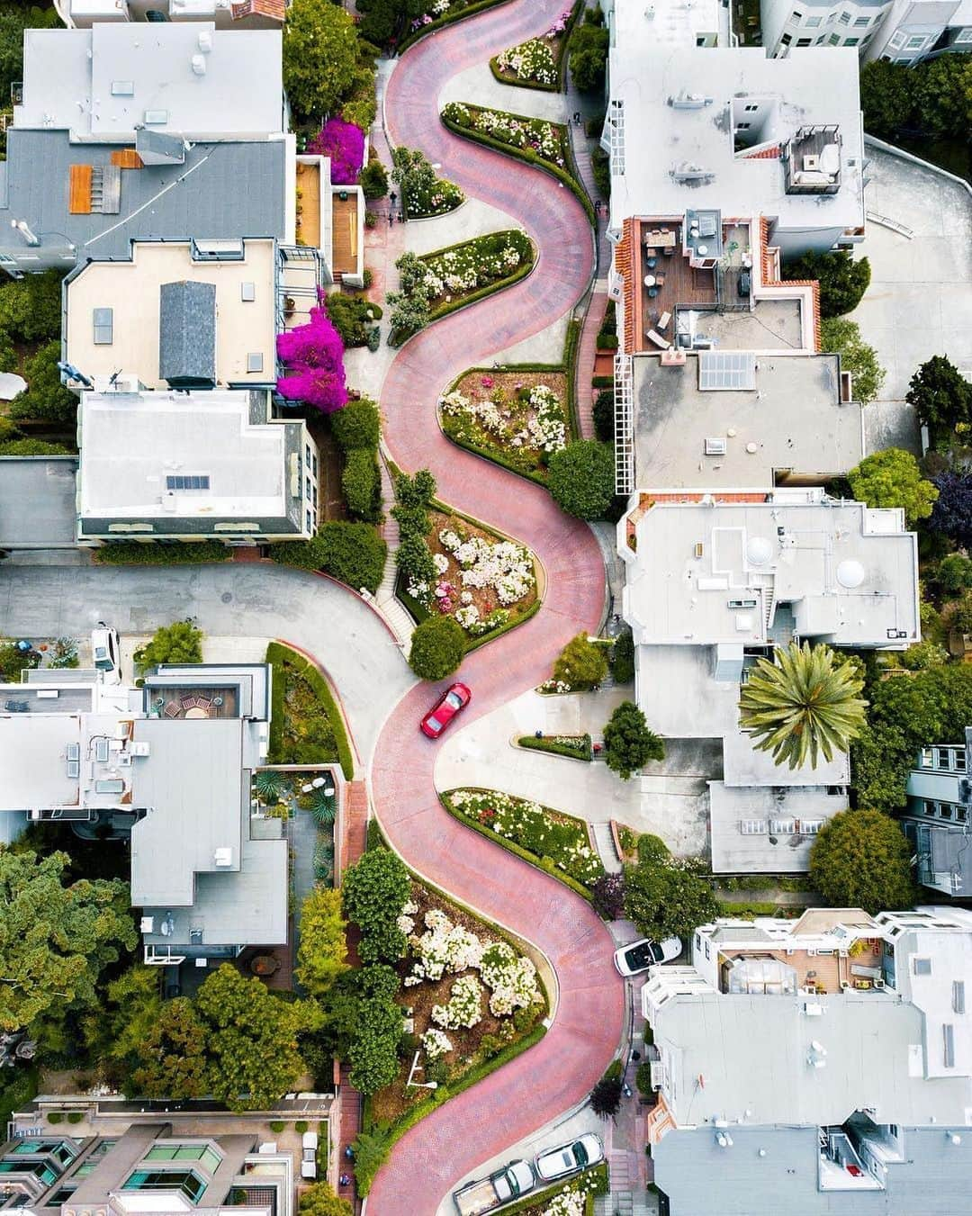 Instagramさんのインスタグラム写真 - (InstagramInstagram)「#HelloFrom Lombard Street in San Francisco. Take a scenic drive down this steep, winding single block. 🚗⁣ ⁣ Photo by @veeceecheng」11月18日 1時35分 - instagram