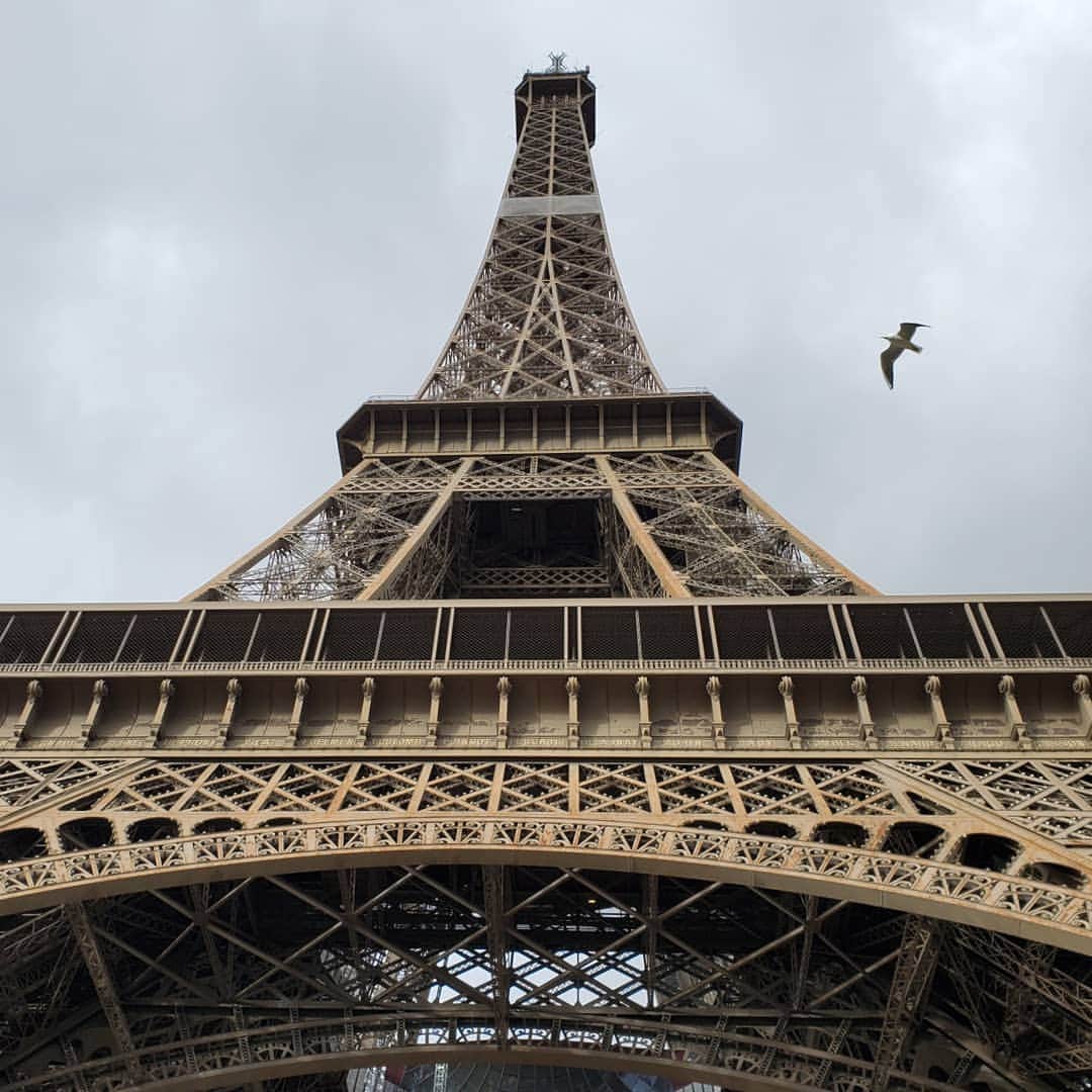 Nolan Gouldさんのインスタグラム写真 - (Nolan GouldInstagram)「Incredible week in Paris with @abcmodernfam  Thanks to everyone who was so welcoming to our cast and crew.」11月18日 1時58分 - nolangould