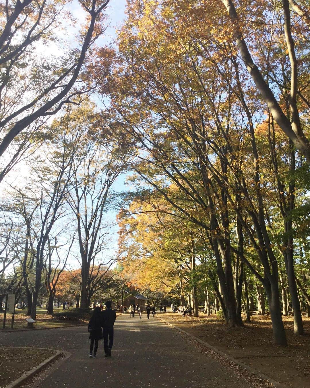 越中睦士さんのインスタグラム写真 - (越中睦士Instagram)11月18日 3時10分 - makotokoshinaka