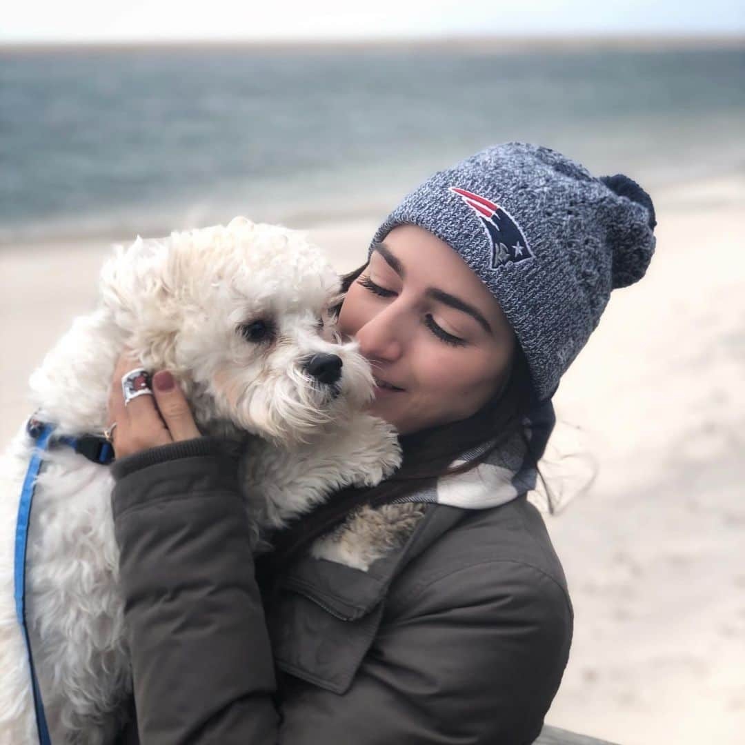 マリッサ・キャステリのインスタグラム：「Windy beach day with Mosby! . . . . . . *#shichonsofinstagram #chatham #beach #shichon #puppiesofinstagram #patriots」