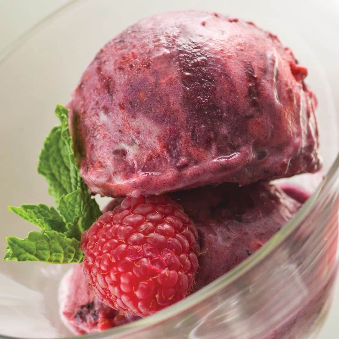 Yonanasさんのインスタグラム写真 - (YonanasInstagram)「A never-fail, healthy dessert that you can make in seconds! Mixed Berry Yonanas is a delicious go-to treat that is so simple to make. Just alternate adding 2 frozen bananas & 3/4 cup of mixed berries to your Yonanas maker.  __  #yonanas #nicecream #bananaicecream #nanaicecream #nicecreamrecipes #healthydessert #healthyicecream #healthytreat #fruiticecream #fruitfordessert #eatmorefruit #plantbasedicecream #eatmoreplants #dairyfreeicecream #dairyfreedessert #dairyfreelife #vegandessert #veganicecream #whatveganseat #thefeedfeedvegan #mixedberry #berryicecream #mixedberries #berries #bananaberry」11月14日 9時35分 - yonanas