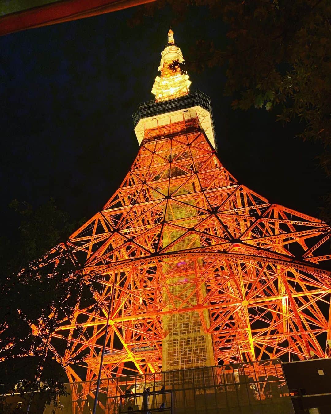 三浦サリーのインスタグラム：「この普通の赤いのが1番すき🗼 #tokyotower」
