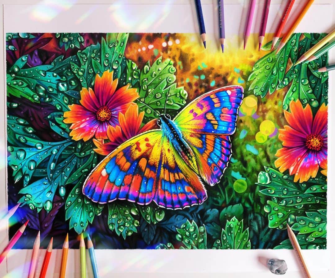Morgan Davidsonのインスタグラム：「The original colored pencil drawing (and video) I did for @prismacolor and their 150 pencil set! 🌈🦋Available in store and online! Drawn with colored pencils on Strathmore Bristol smooth.☺️ I had so much fun working on this! ✨💕」