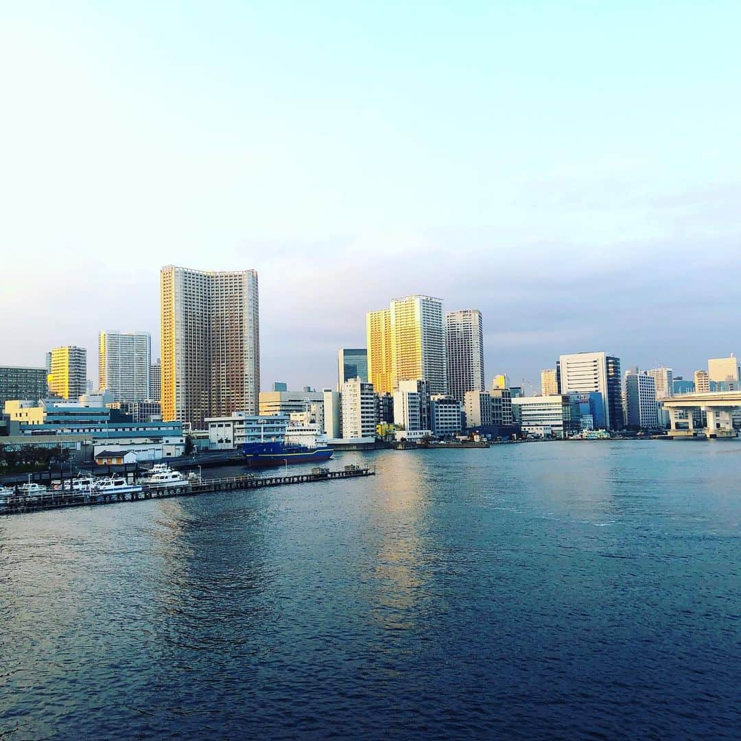 アグネス・チャンさんのインスタグラム写真 - (アグネス・チャンInstagram)「夕暮れの東京。あまり知られてない場所から」11月14日 3時44分 - agneschan1